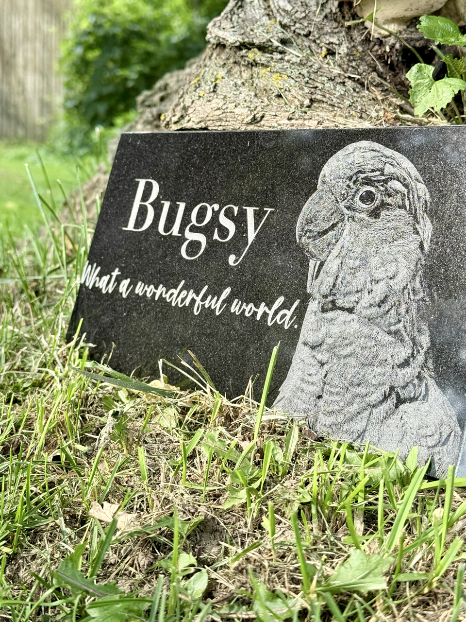 6x12 Granite Pet Memorial