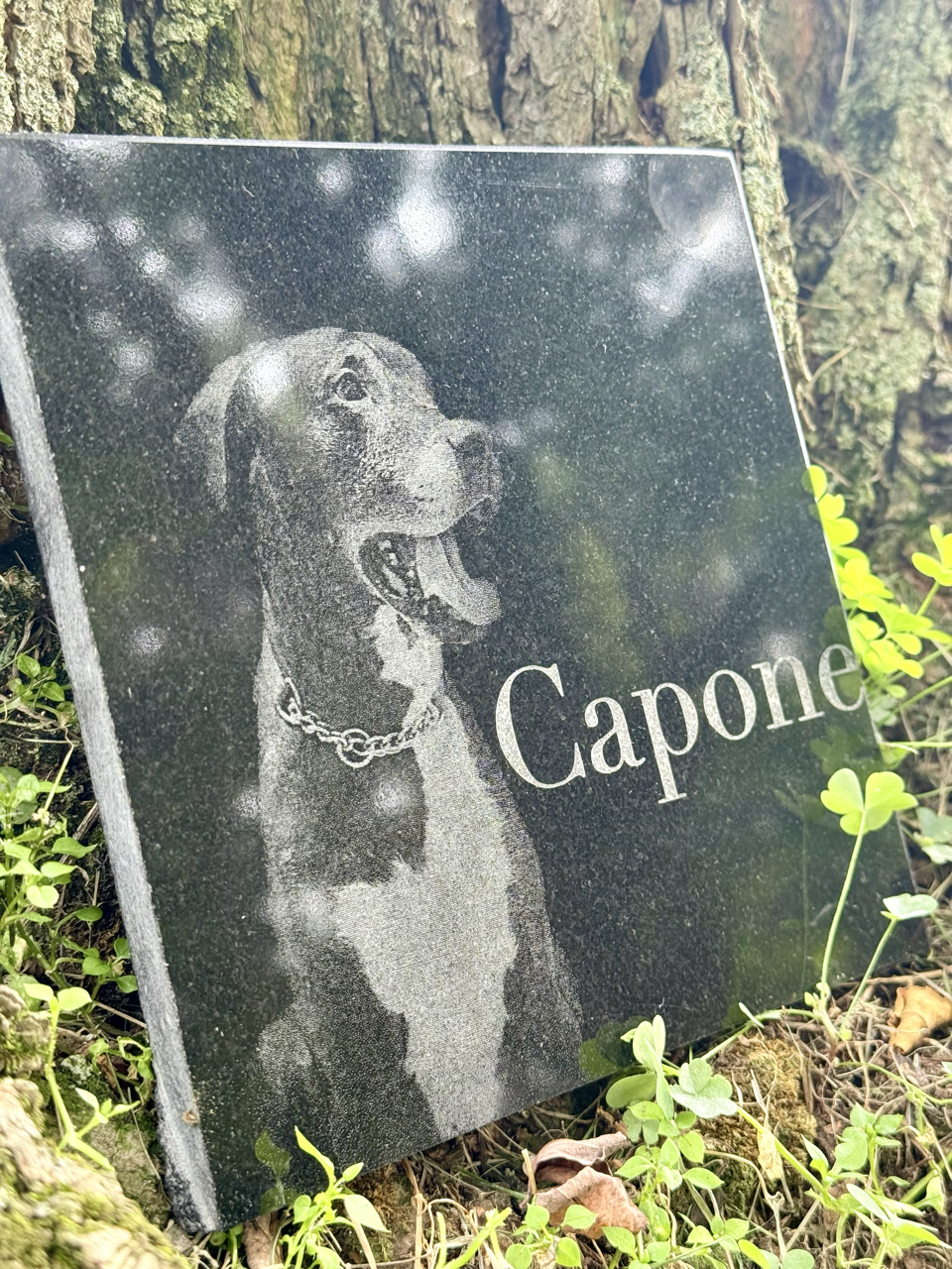 6x6 Granite Pet Memorial