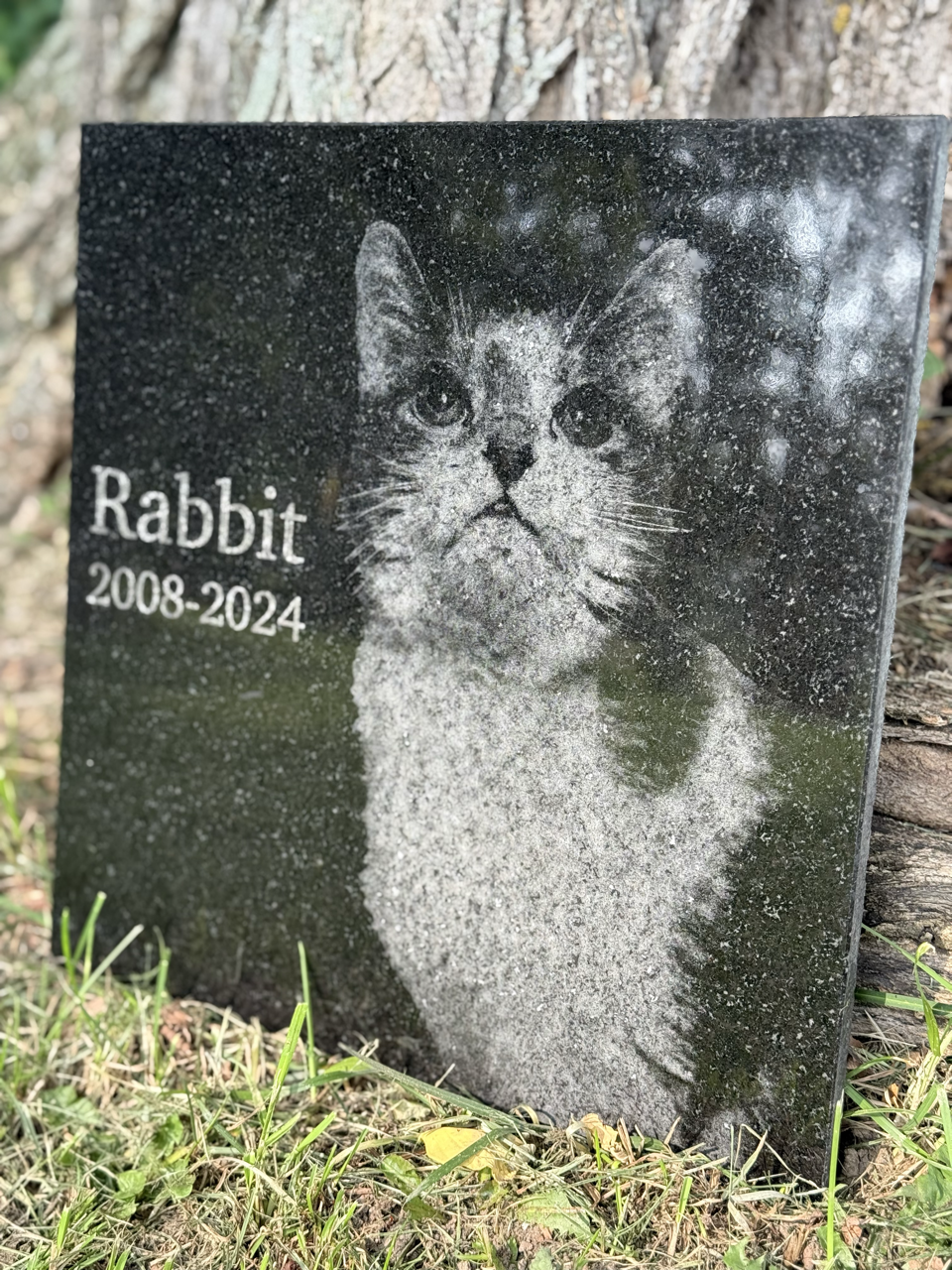 12x12 Granite Pet Memorial